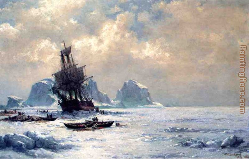 Caught in the Ice